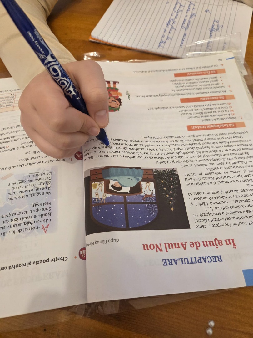 teme incluse grupe mici after school centru educational